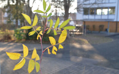 Schule im Umbau
