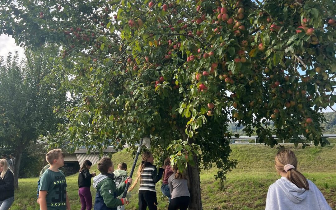 🍁✨ Juhu – die Herbstferien sind da! ✨🍁